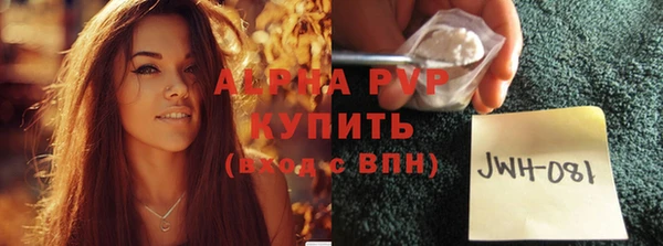 ПСИЛОЦИБИНОВЫЕ ГРИБЫ Ладушкин