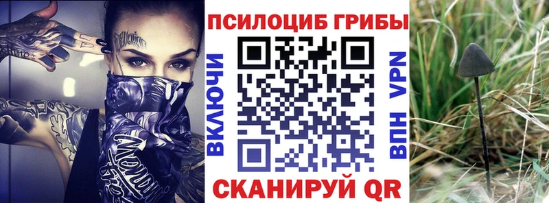 как найти наркотики  Копейск  Псилоцибиновые грибы GOLDEN TEACHER 